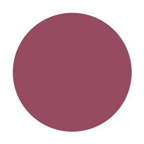 RTW HYBRID V Lippie
