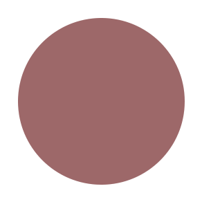 RTW HYBRID V Lippie