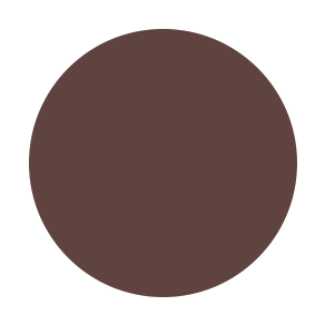 RTW Parisian Brow Fixx (aaaa)