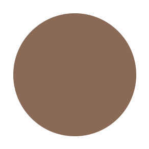 RTW Parisian Brow Fixx (aaaa)