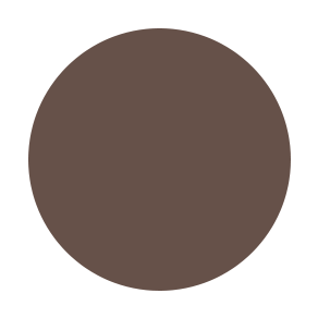 RTW Parisian Brow Fixx (aaaa)