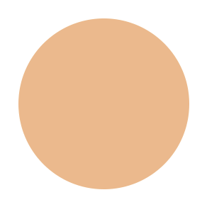 TAYsha RTW Expensive BAP Soft Matte #Skincare #FaceCashmere