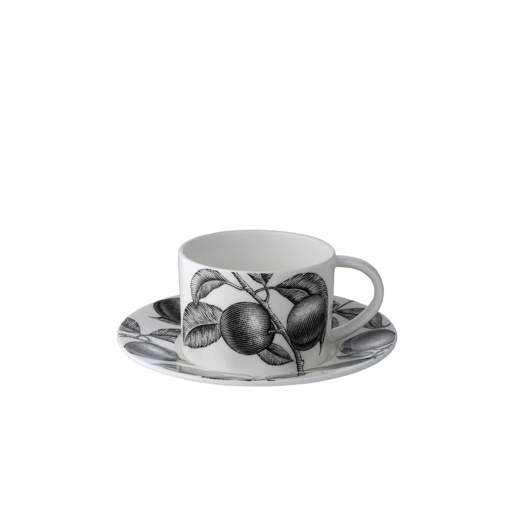 Olive Market - Cup & Saucer