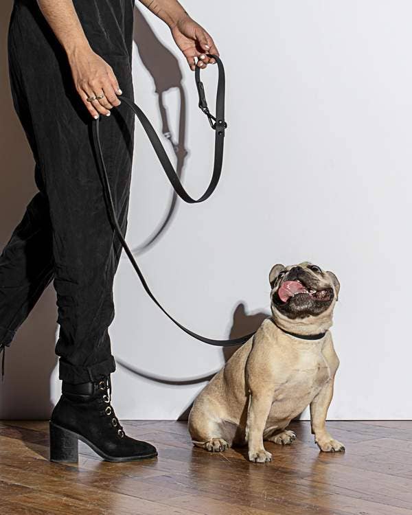 Black Leash