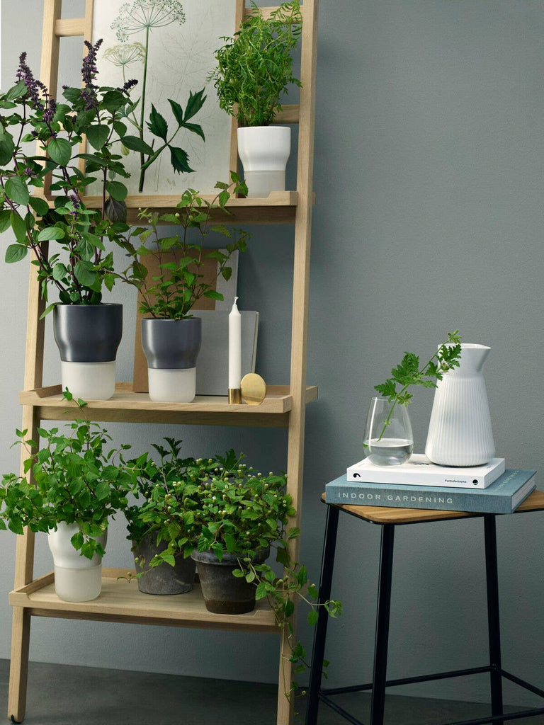 13cm Selfwatering Herb Pot (Grey)