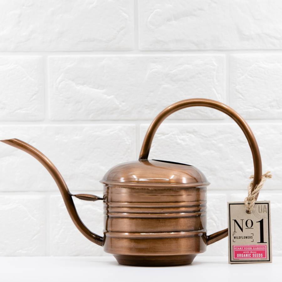 Small Indoor Watering Can