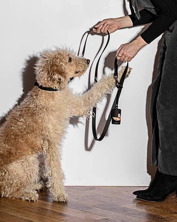 Black Poop Bag Carrier