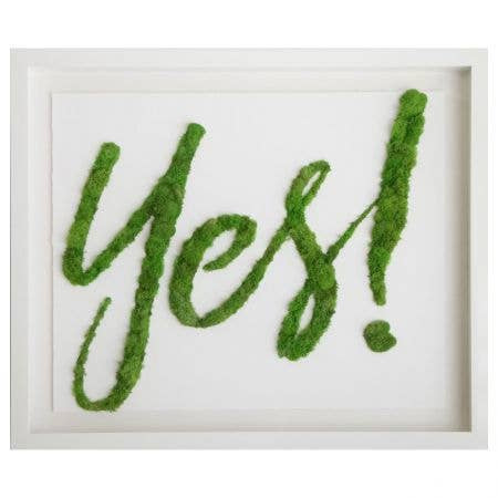 Moss Yes