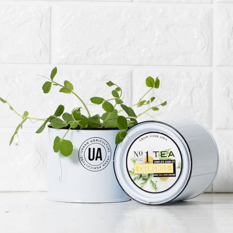 Chamomile Grow Your Own Tea #BestSeller