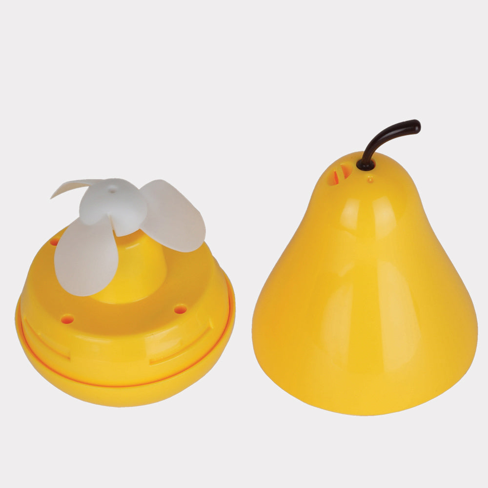 Pear Skincare Fan