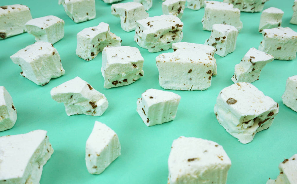 Mint Chocolate Chip Freeze Dried Ice Cream
