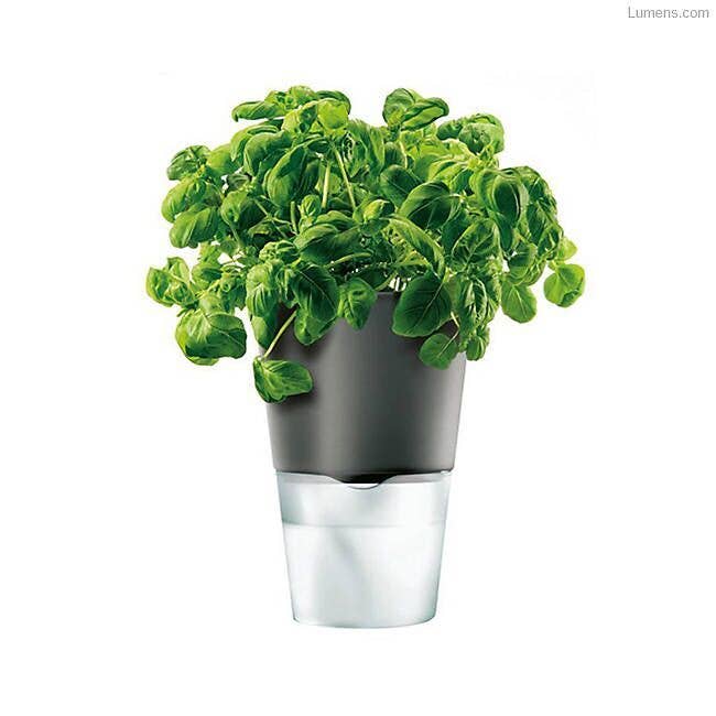 13cm Selfwatering Herb Pot (Grey)