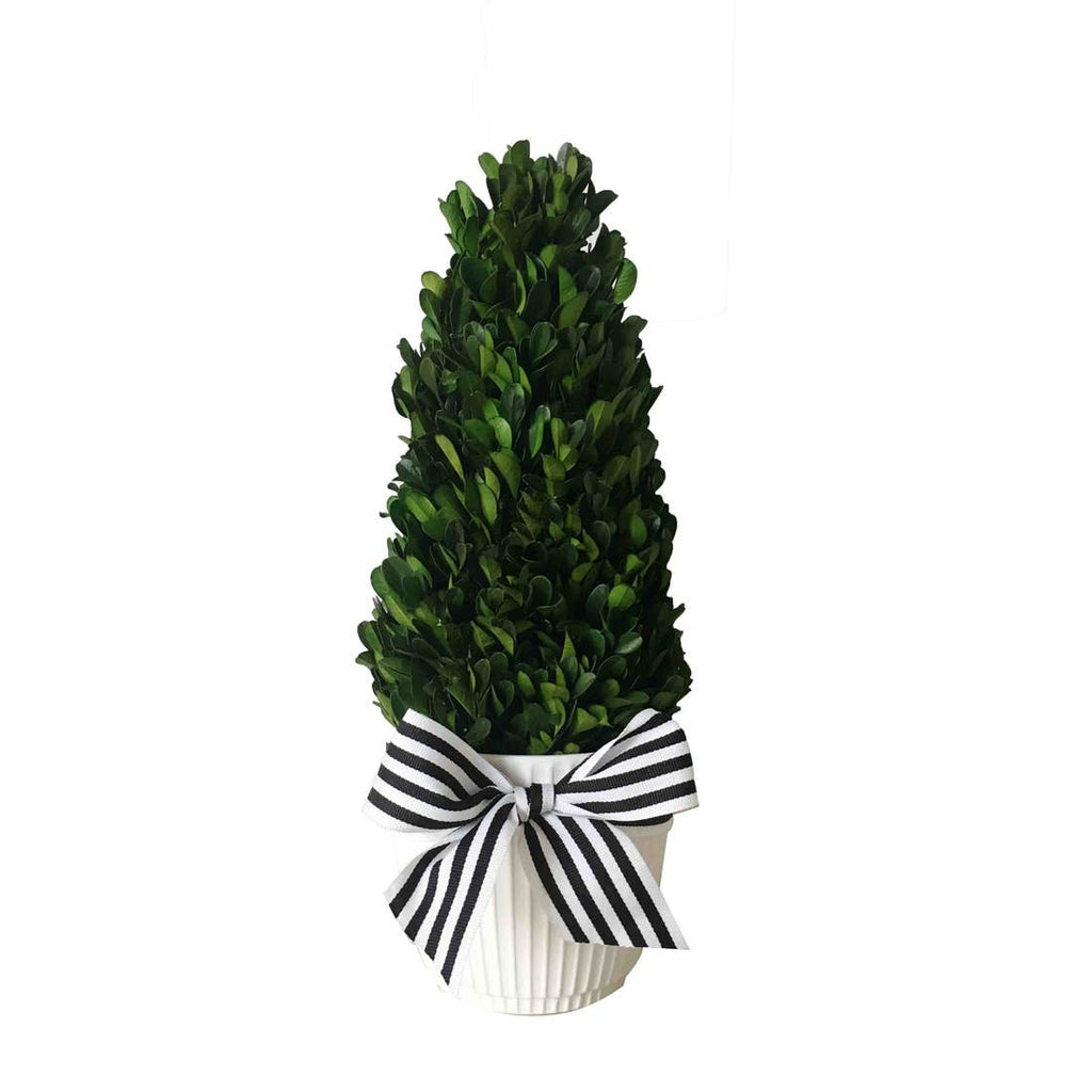 Boxwood Tower W/Ribbon & Pot