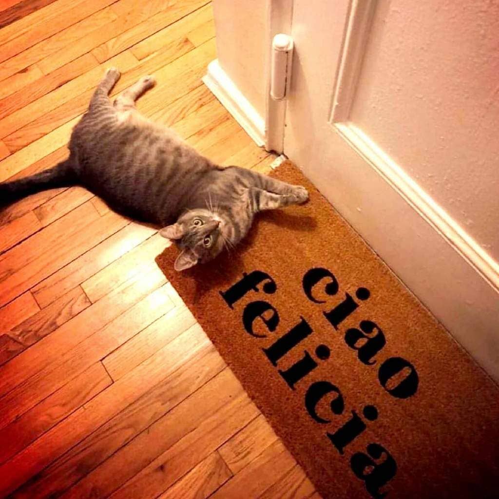 Coir Floor Mat - "Ciao Felicia"