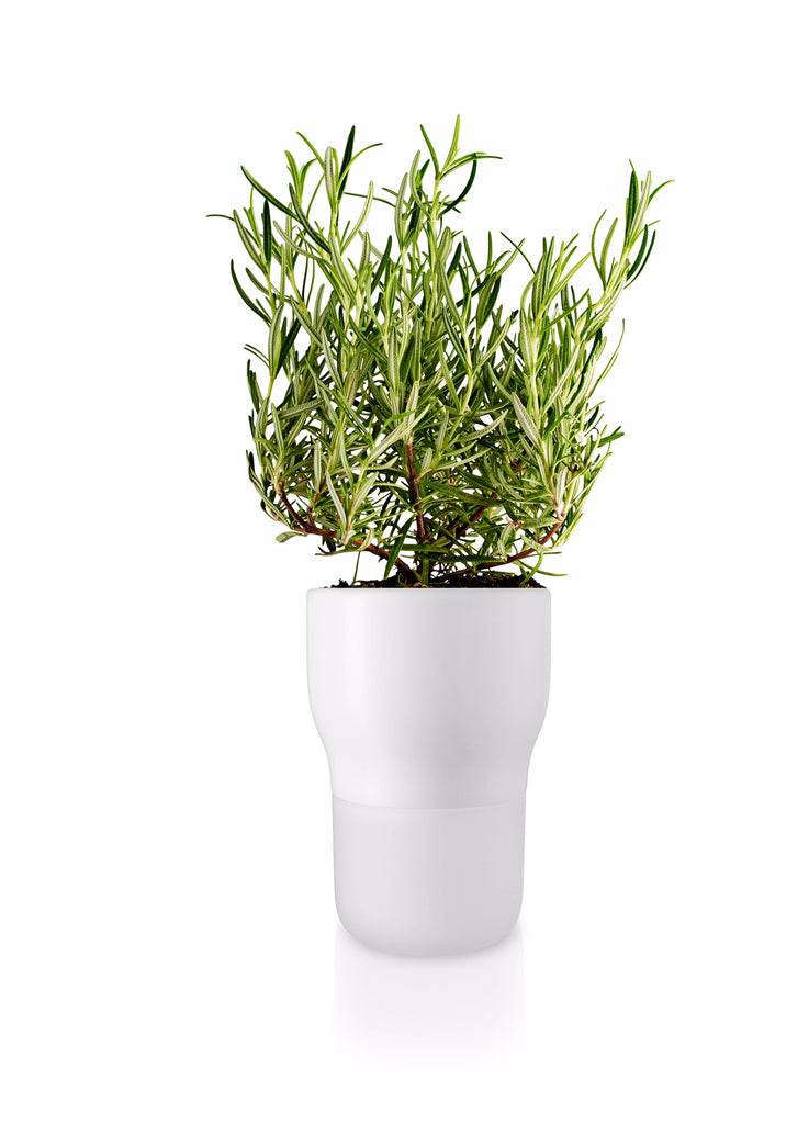 11cm Chalk White Selfwatering Planter