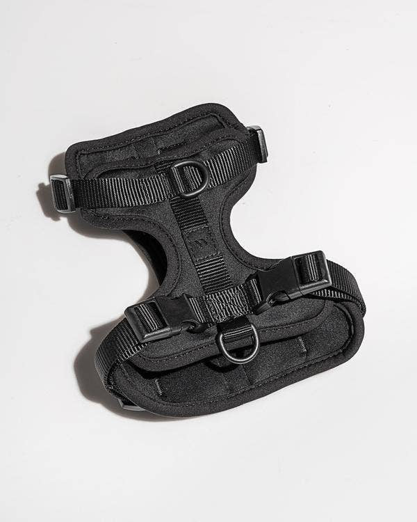 Black Harness