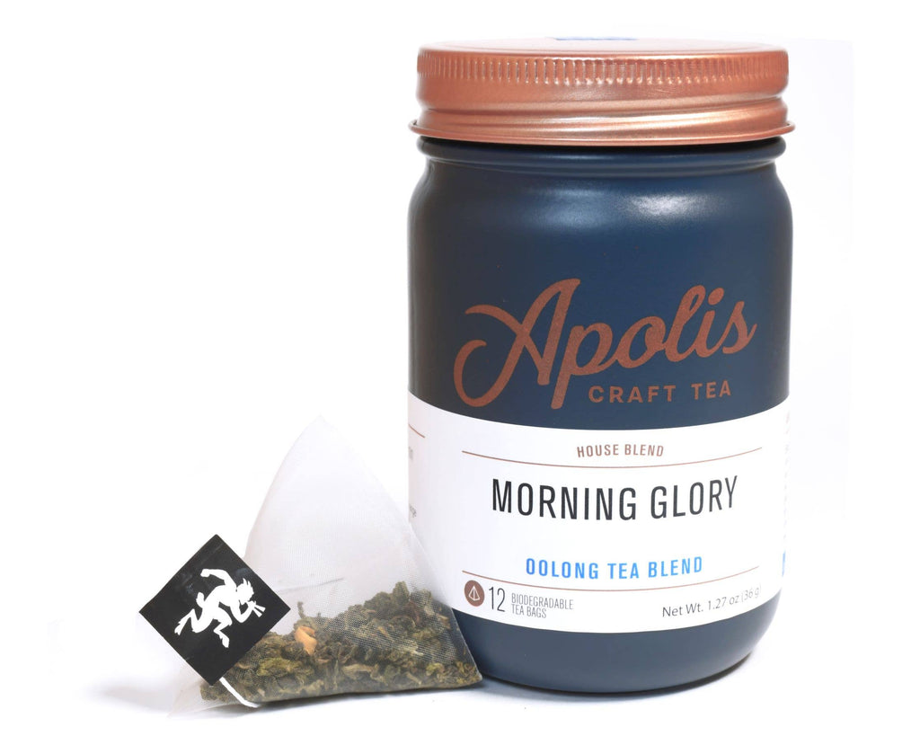 Morning Glory