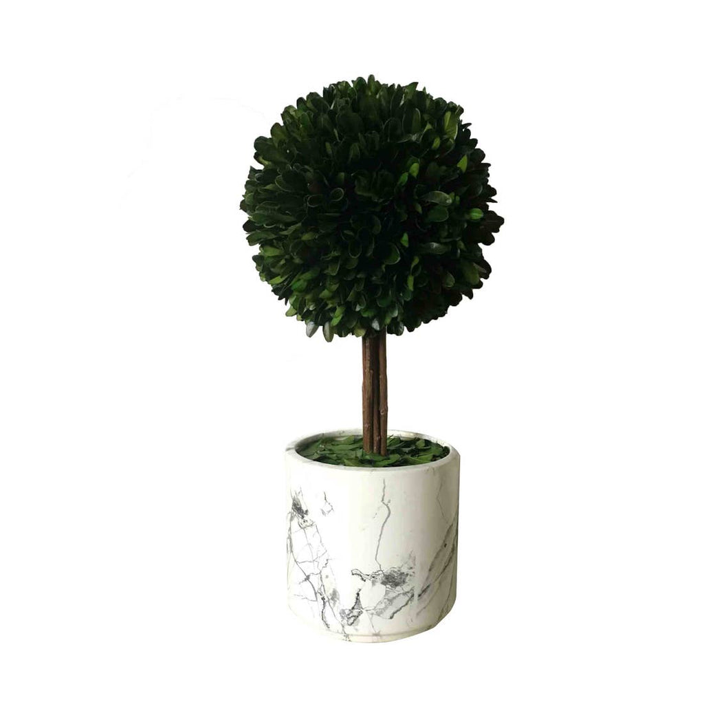 Boxwood Ball W/White Pot