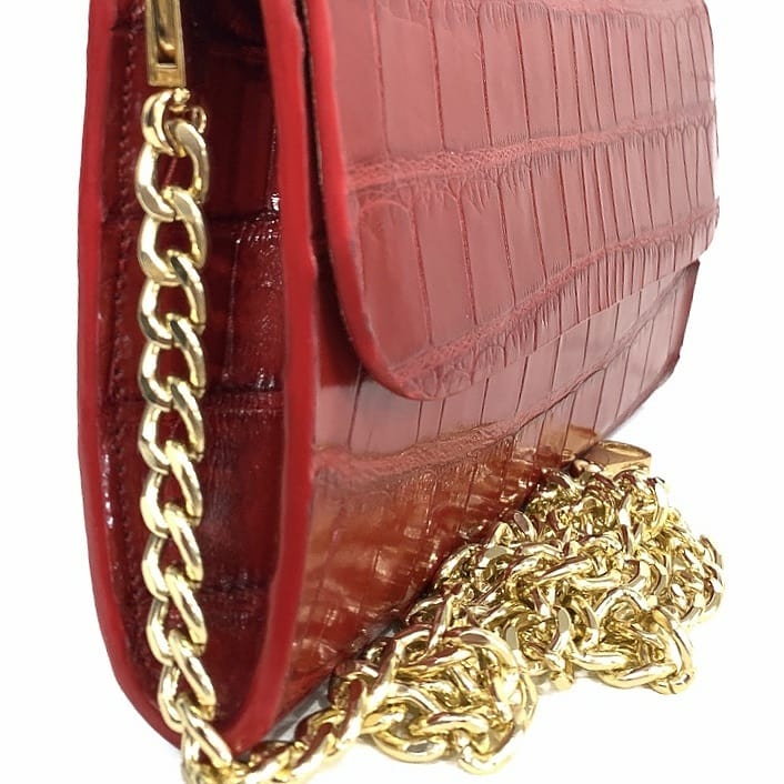 TAYsha Expensive BAP Red Lipgloss