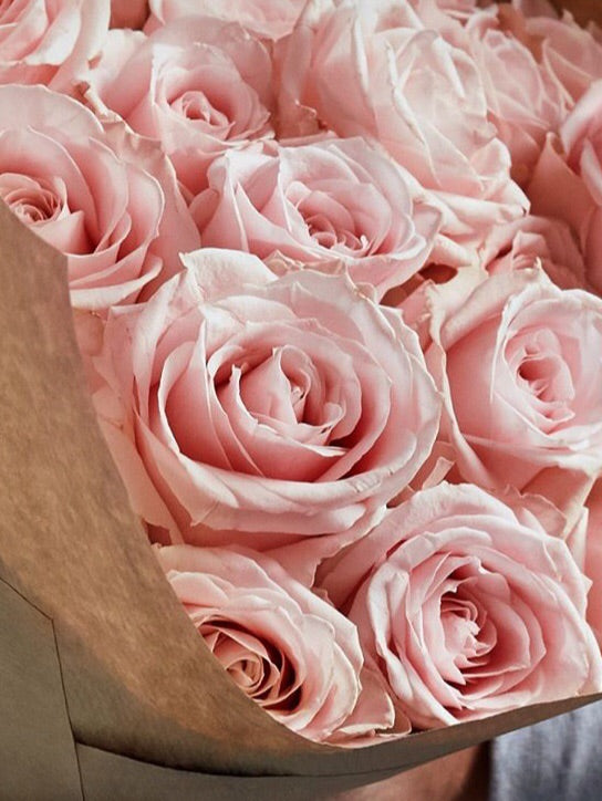 Blush Rose Suede Watch