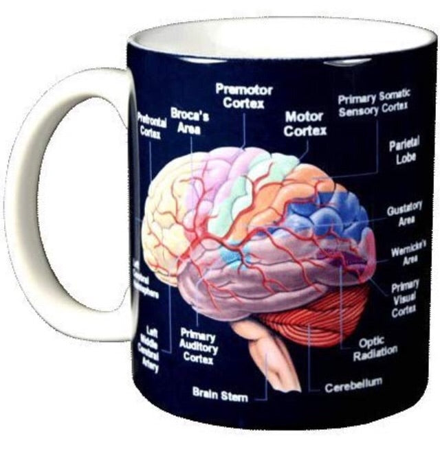 Use it or lose it Brain Mug