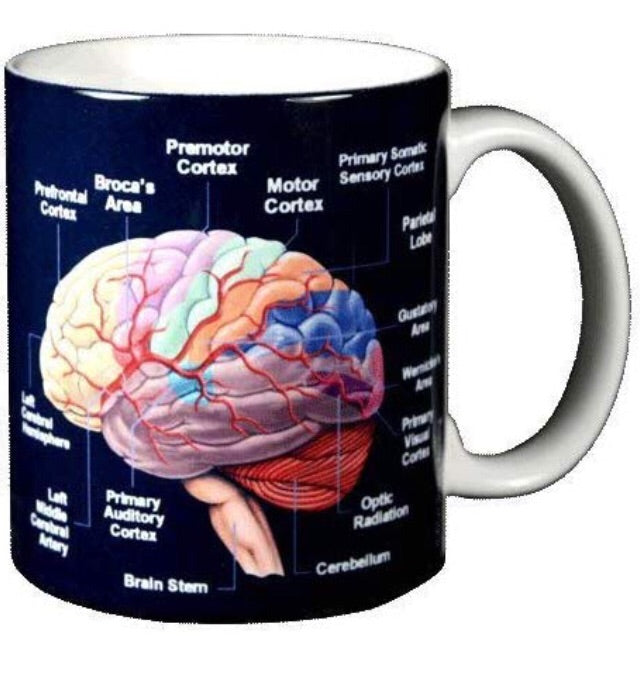 Use it or lose it Brain Mug