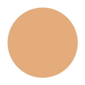 RTW TAYsha Expensive BAP Face Mousse #Matte